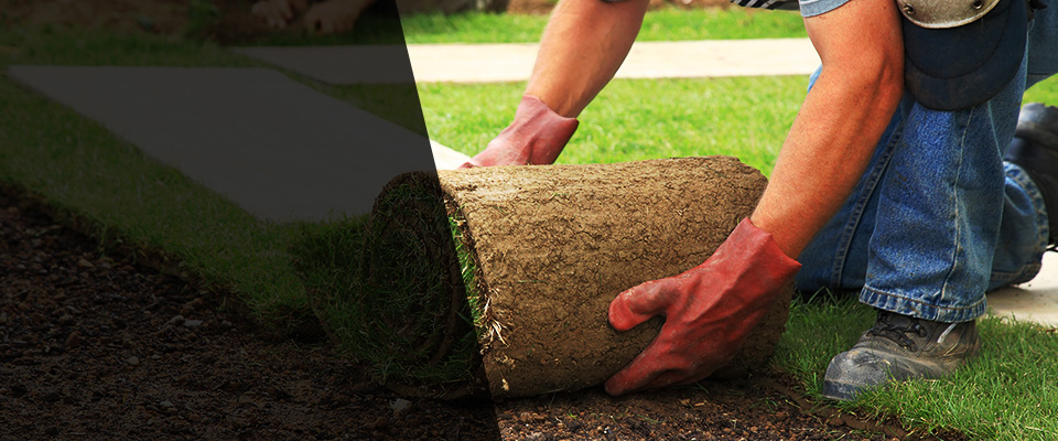 Lincolnwood Landscapers